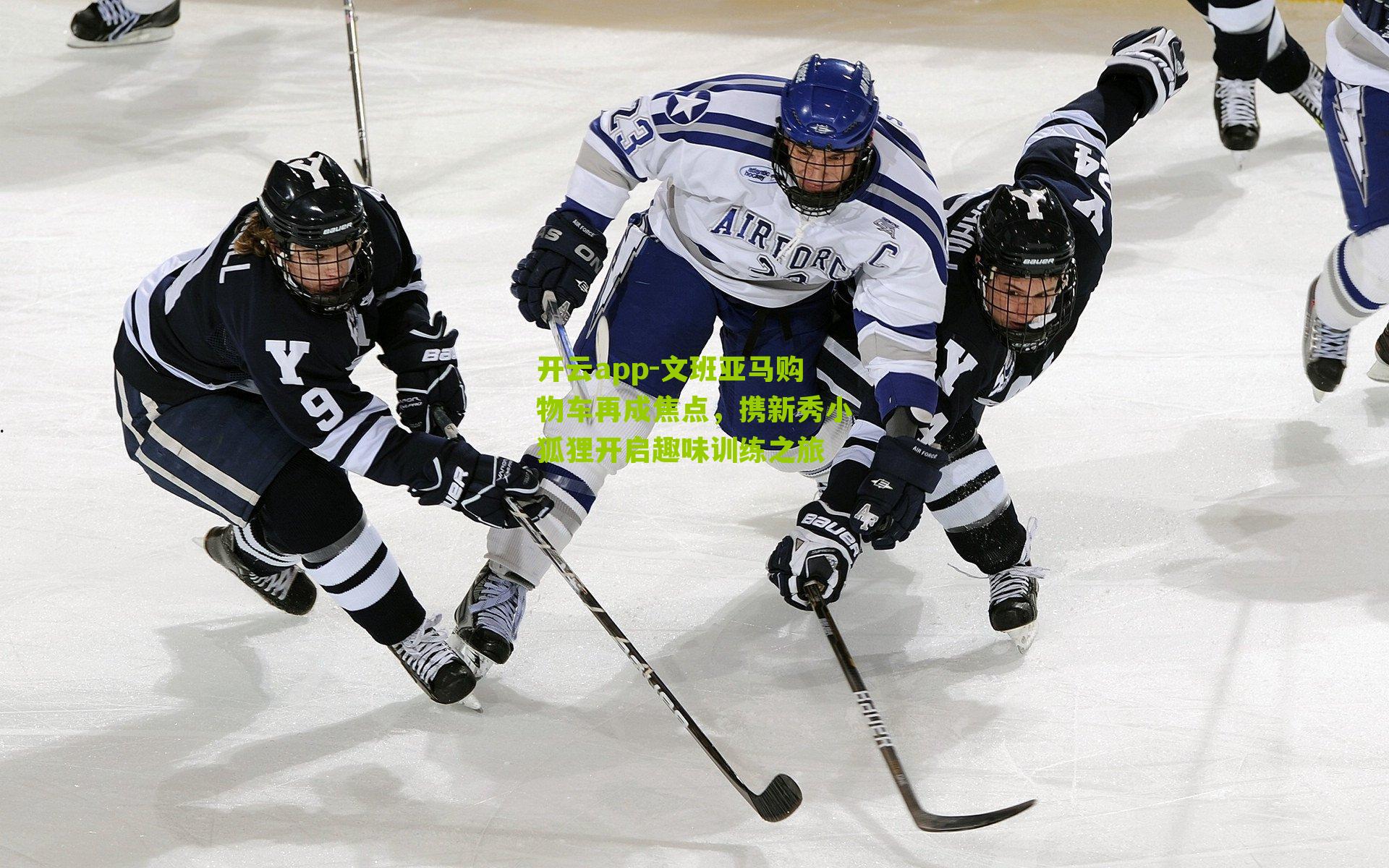 文班亚马购物车再成焦点,携新秀小狐狸开启趣味训练之旅