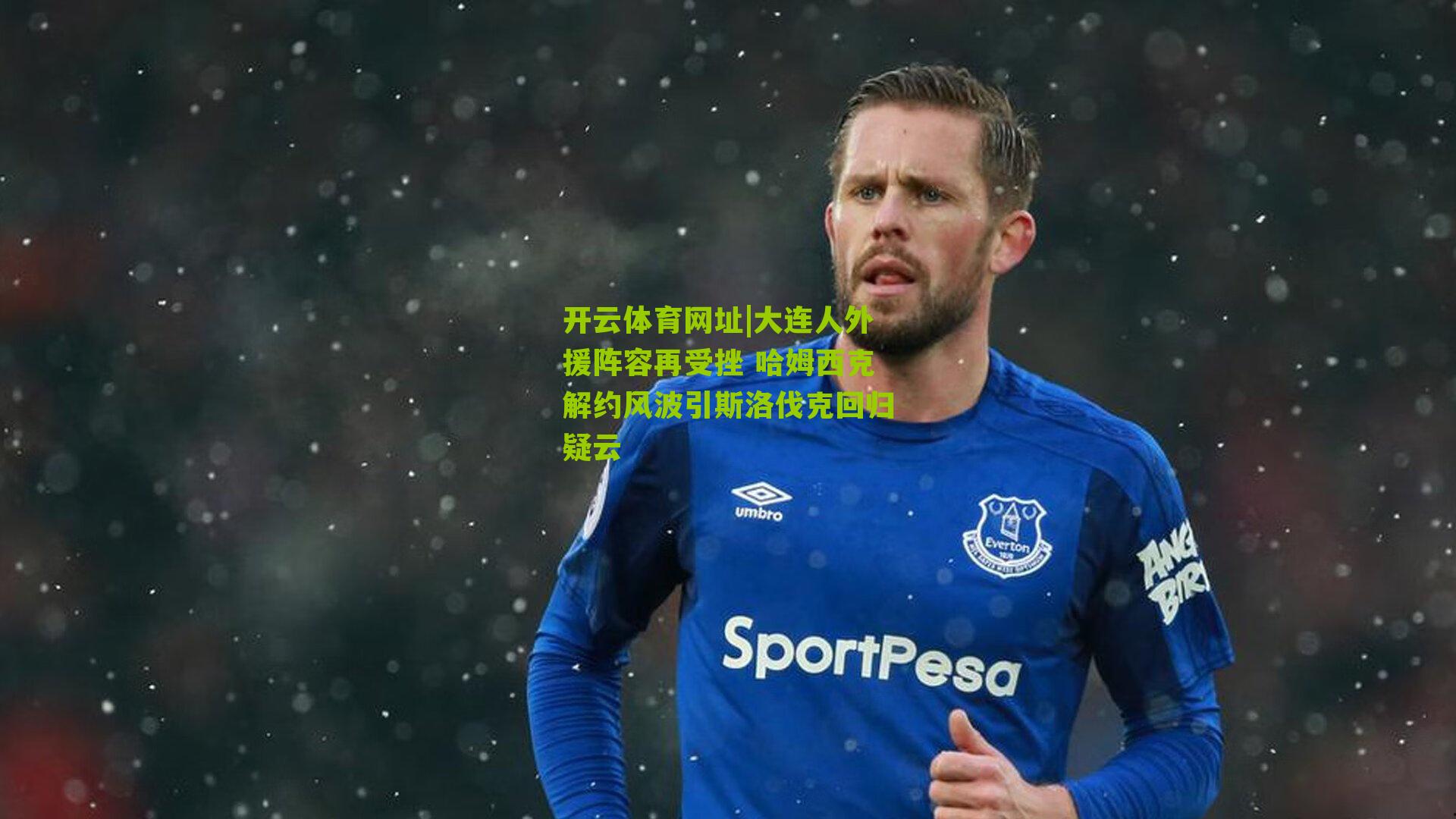 开云体育网址|大连人外援阵容再受挫 哈姆西克解约风波引斯洛伐克回归疑云